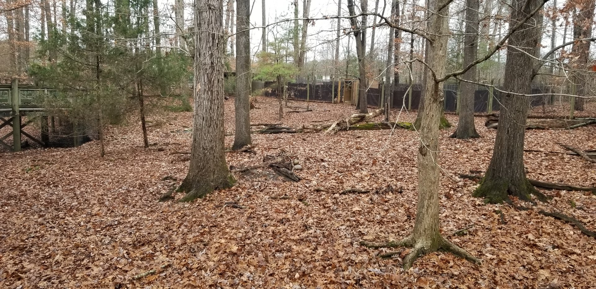 VA Living Museum - Whitetail (1) and turkey (3) exhibit