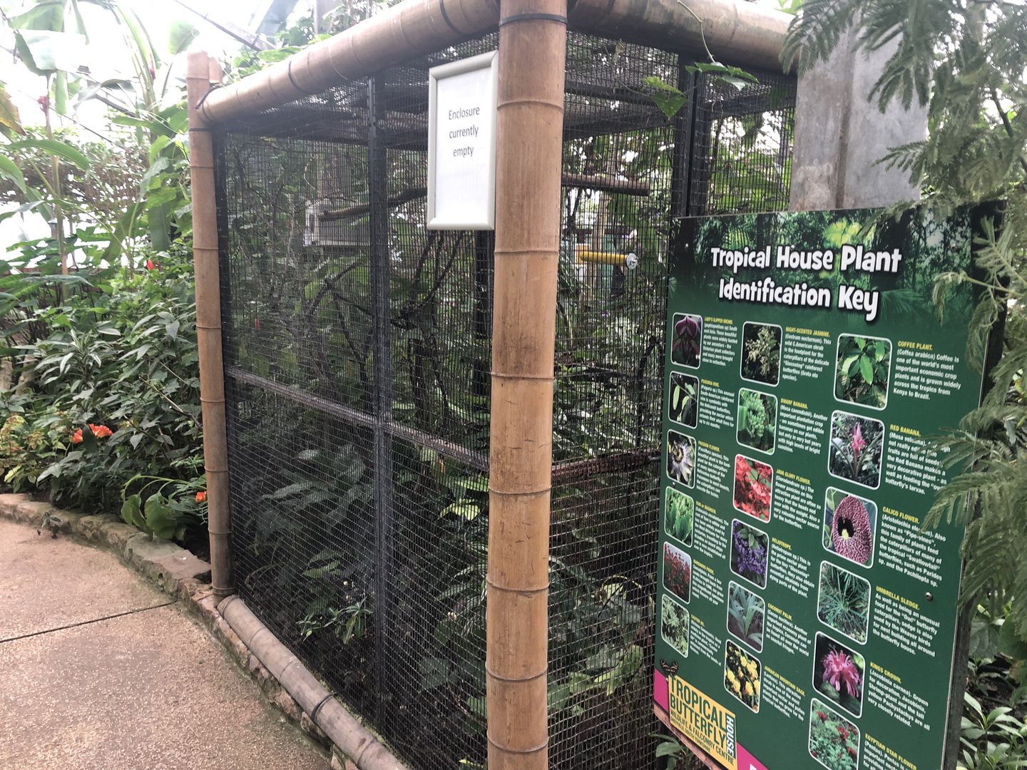 Vacant Enclosure in the Butterfly House at Tropical Butterfly House (March 2023)