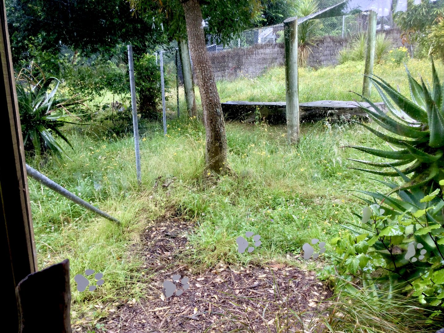 Vacant Exhibit (Old Cheetah Exhibit)