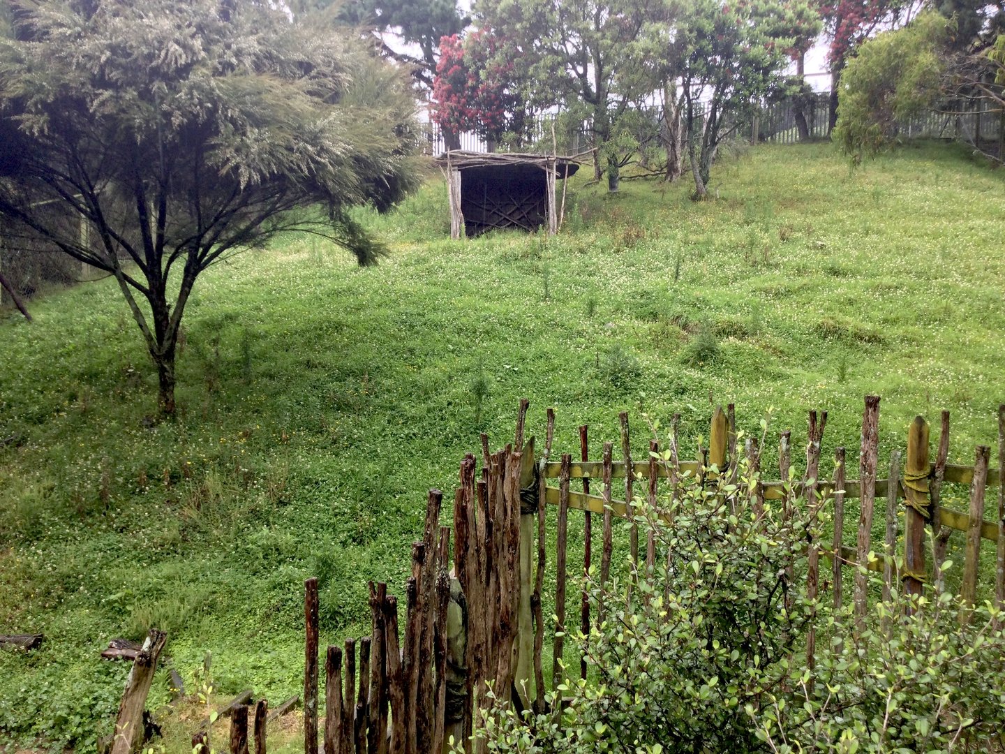 Vacant Exhibit (Old Nyala Exhibit)