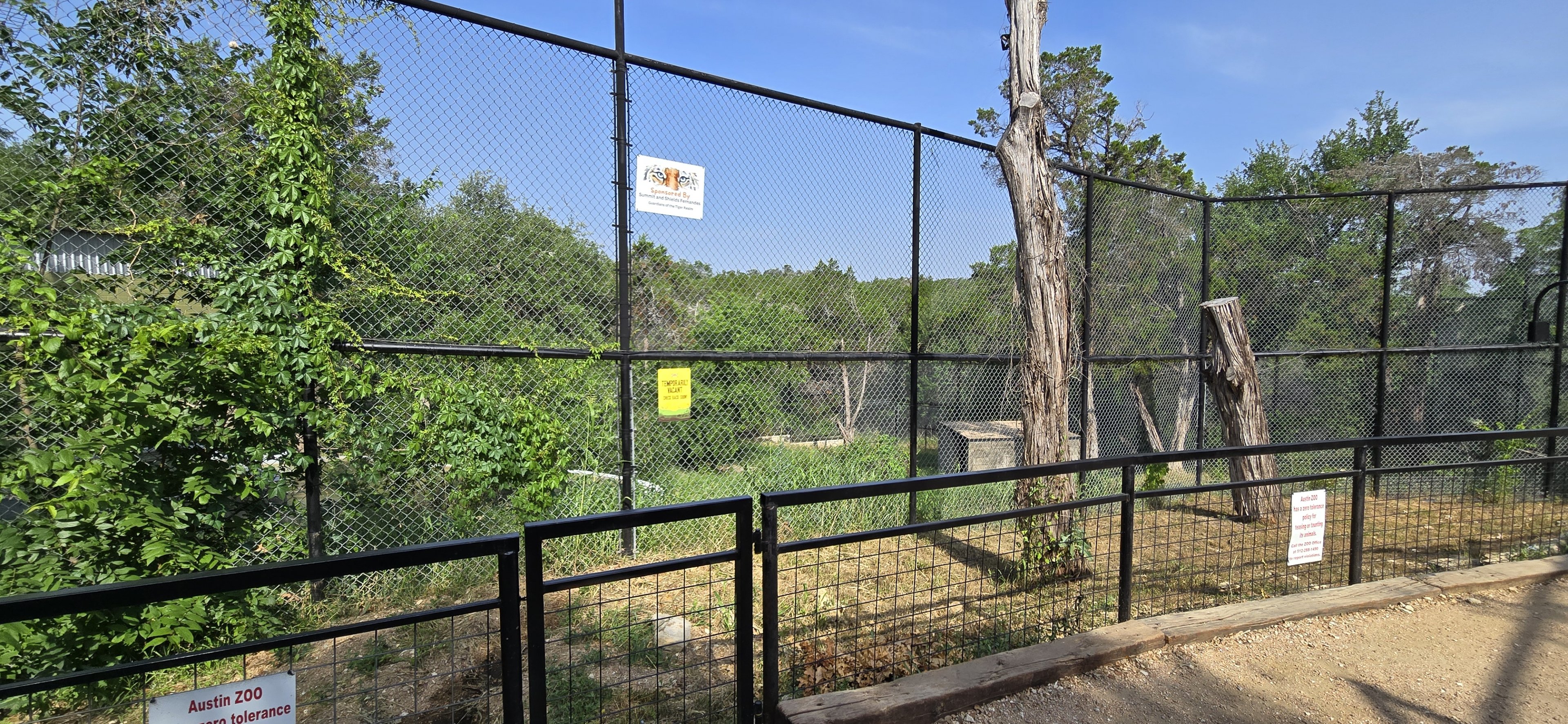 Vacant - former Bengal tiger #2