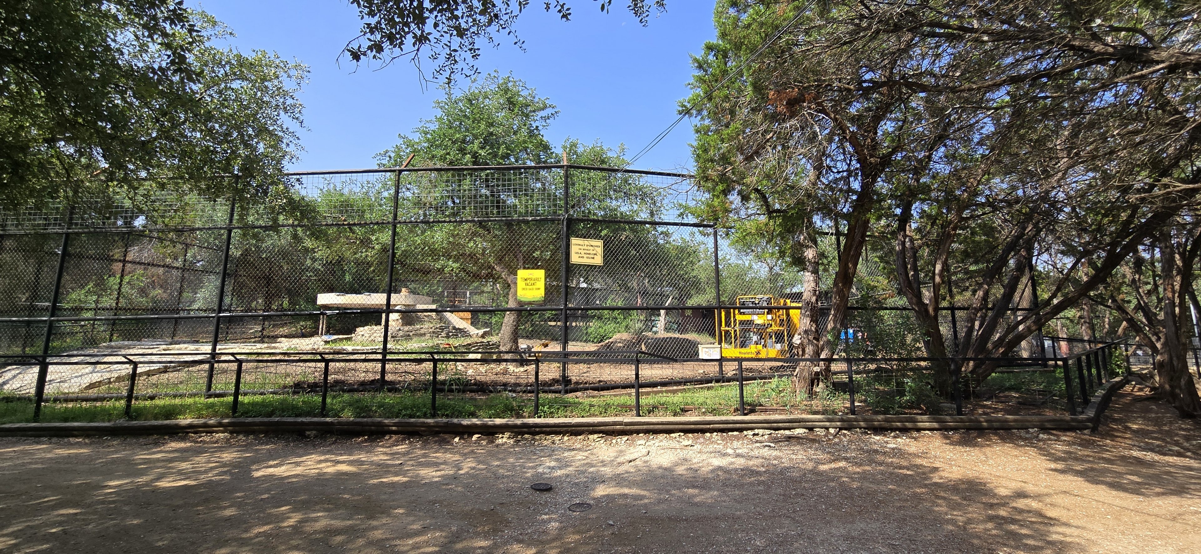 Vacant - former cheetah