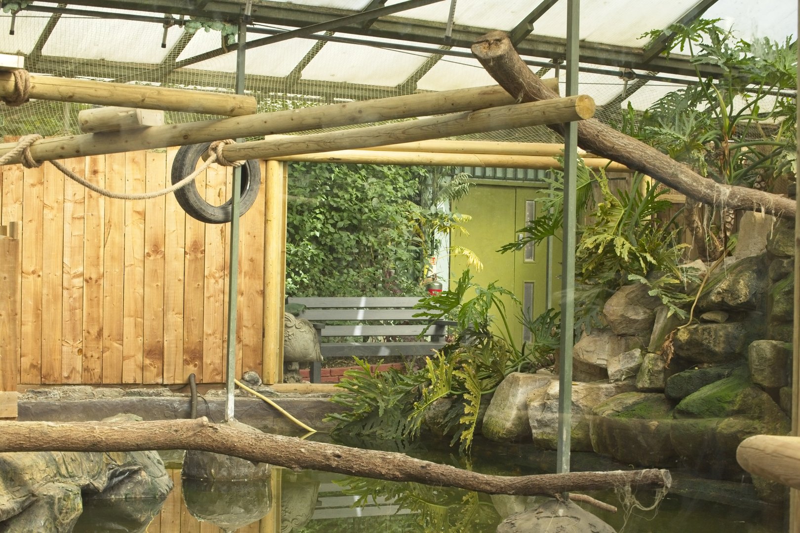 Vacant Marmoset exhibit above Tropical house pool. Left.