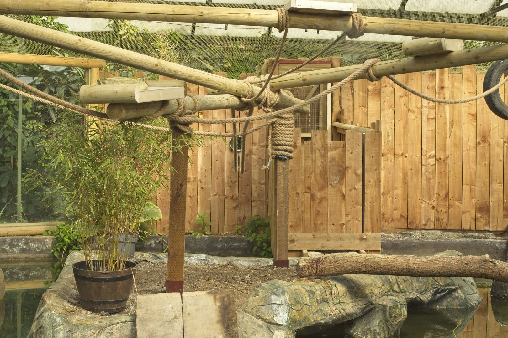 Vacant Marmoset exhibit above Tropical house pool. Right.