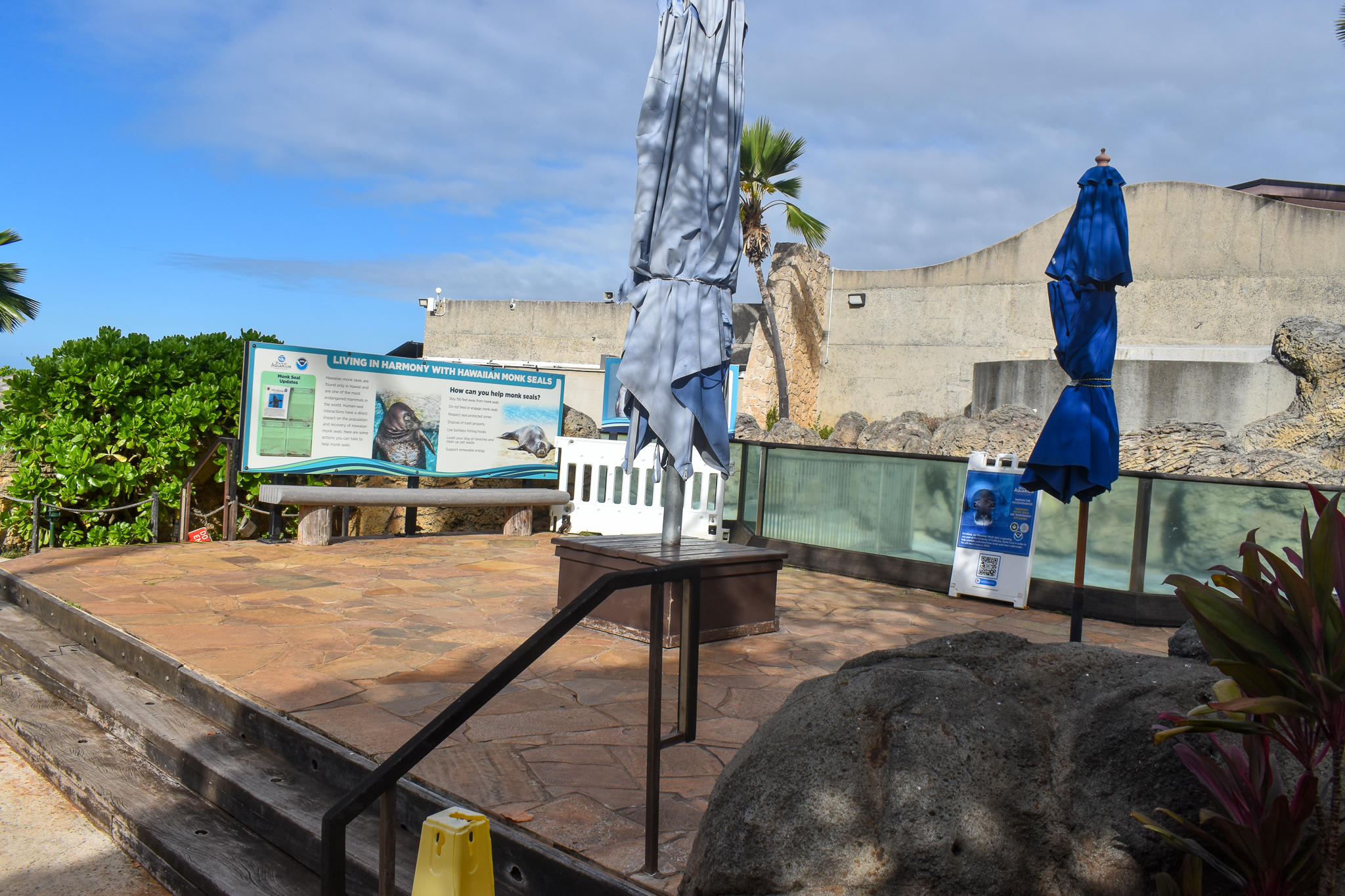 Vacant Monk Seal Enclosure