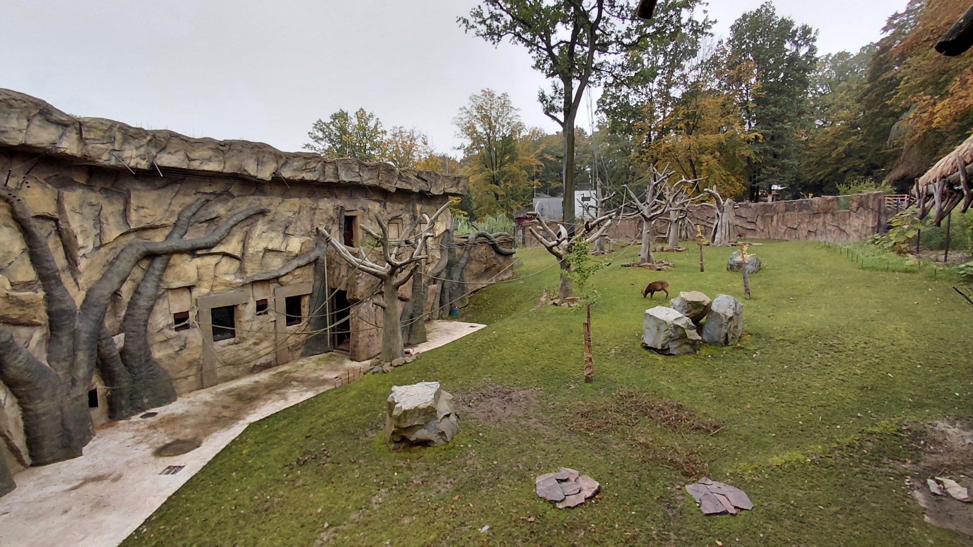 Vadtha ni - Gibbon exhibit