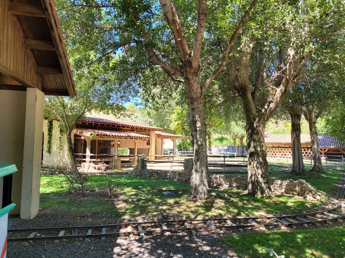 Valais black-necked goat, Hampshire sheep, Brahma chicken and Domestic goose exhibit -Sendaviva (2024)