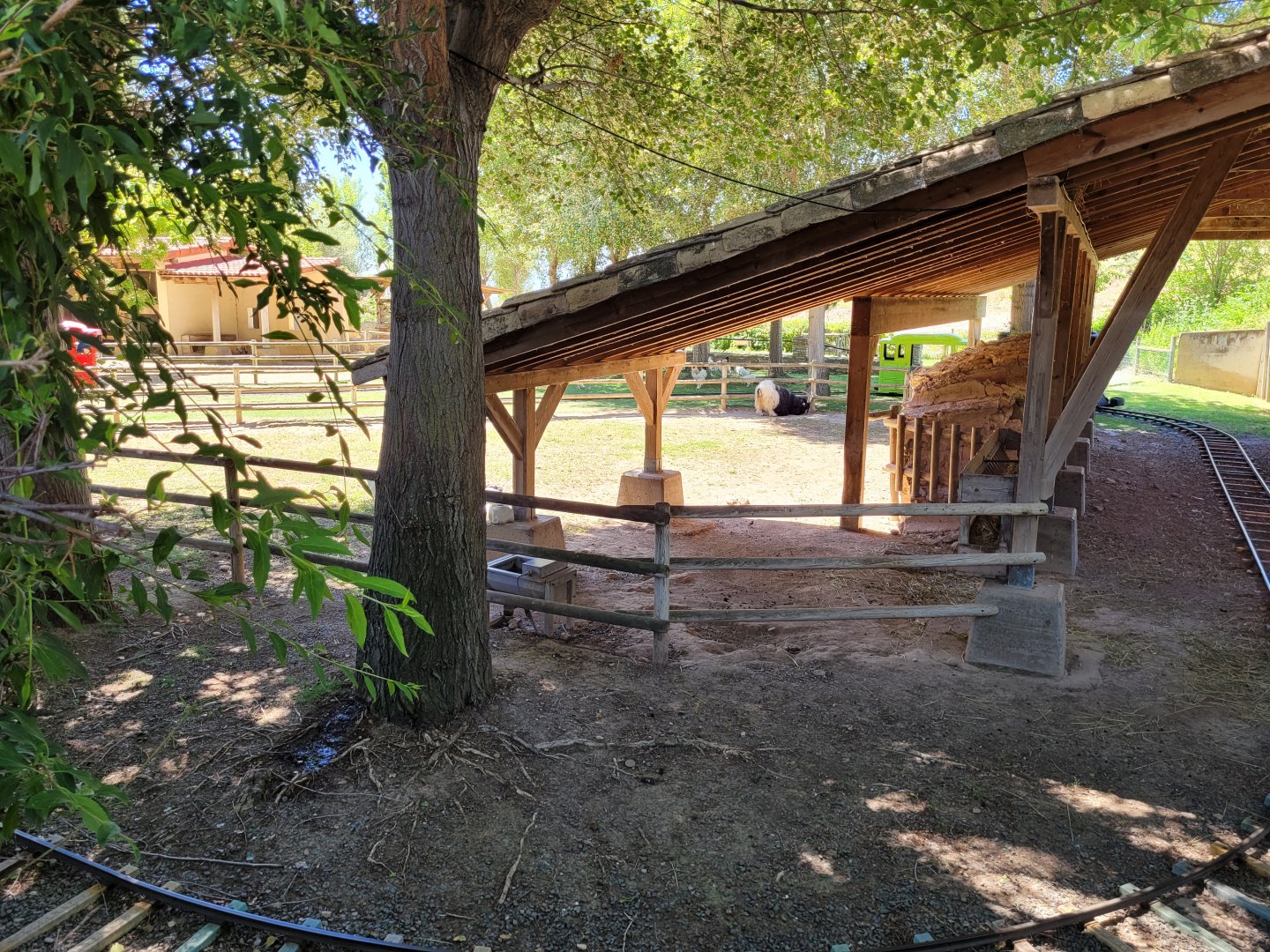 Valais black-necked goat, Hampshire sheep, Brahma chicken and Domestic goose exhibit -Sendaviva (2024)