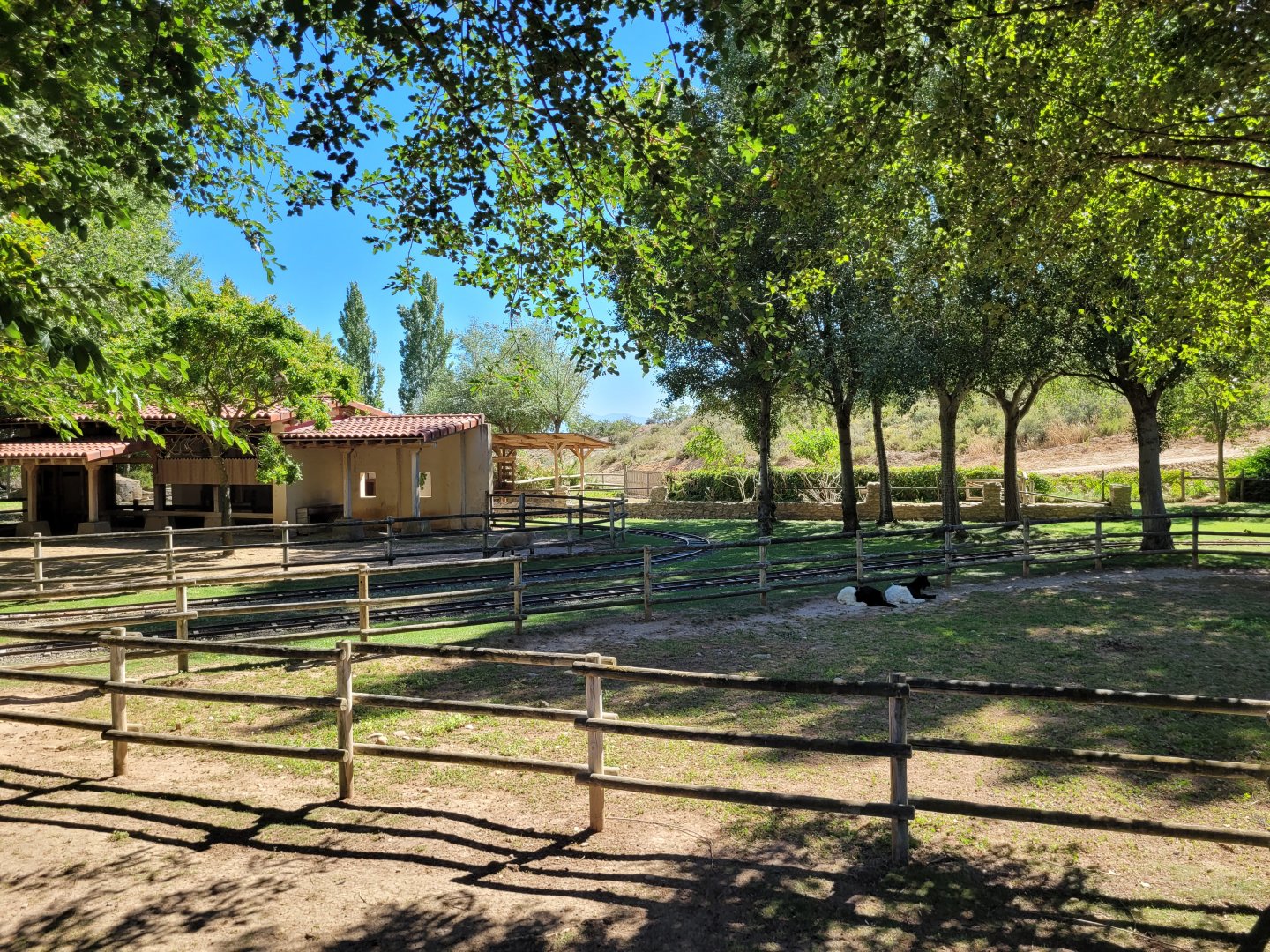 Valais black-necked goat, Hampshire sheep, Brahma chicken and Domestic goose exhibit -Sendaviva (2024)