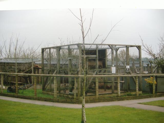 Vale Wildlife Rescue 1