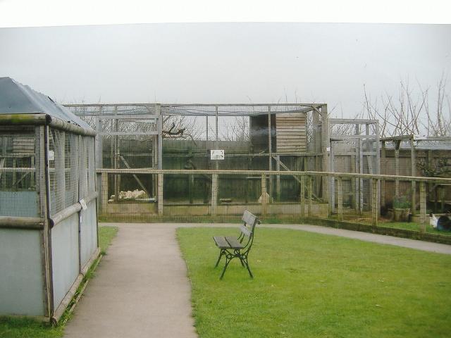 Vale Wildlife Rescue 2