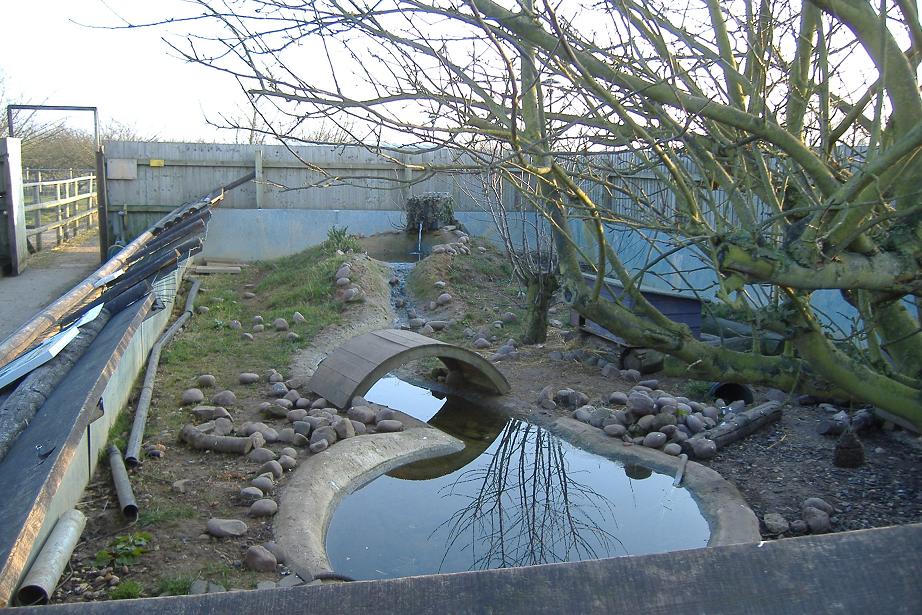 Vale Wildlife Rescue otter pool