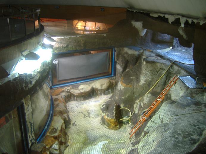 Valencia Oceanarium drained walrus pool