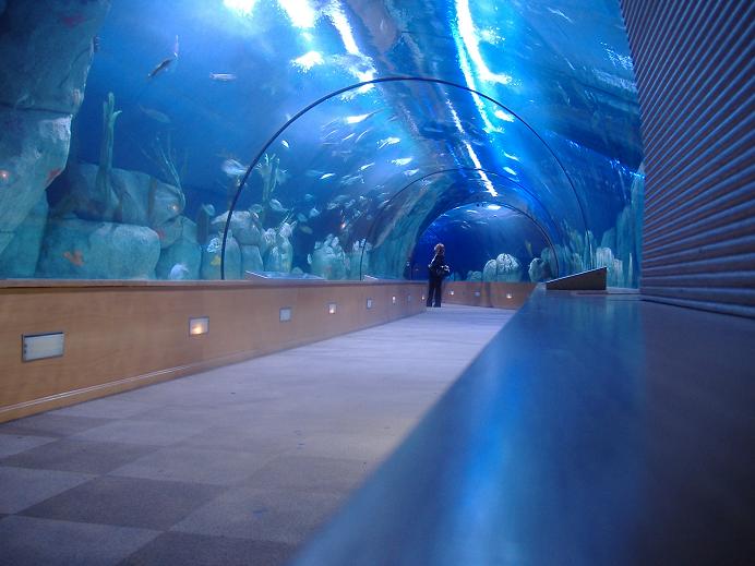 Valencia Oceanarium tunnel
