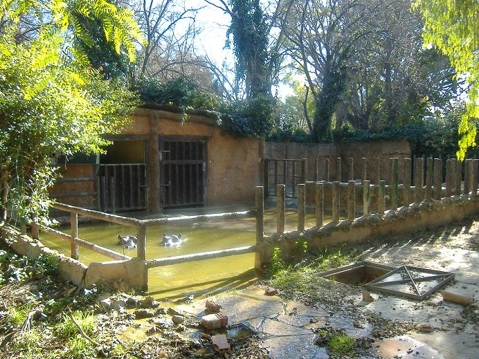 Valencia Zoo hippo enclosure