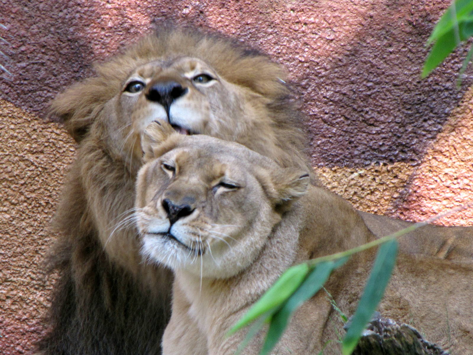 Valentines Day Feb. 14, 2010