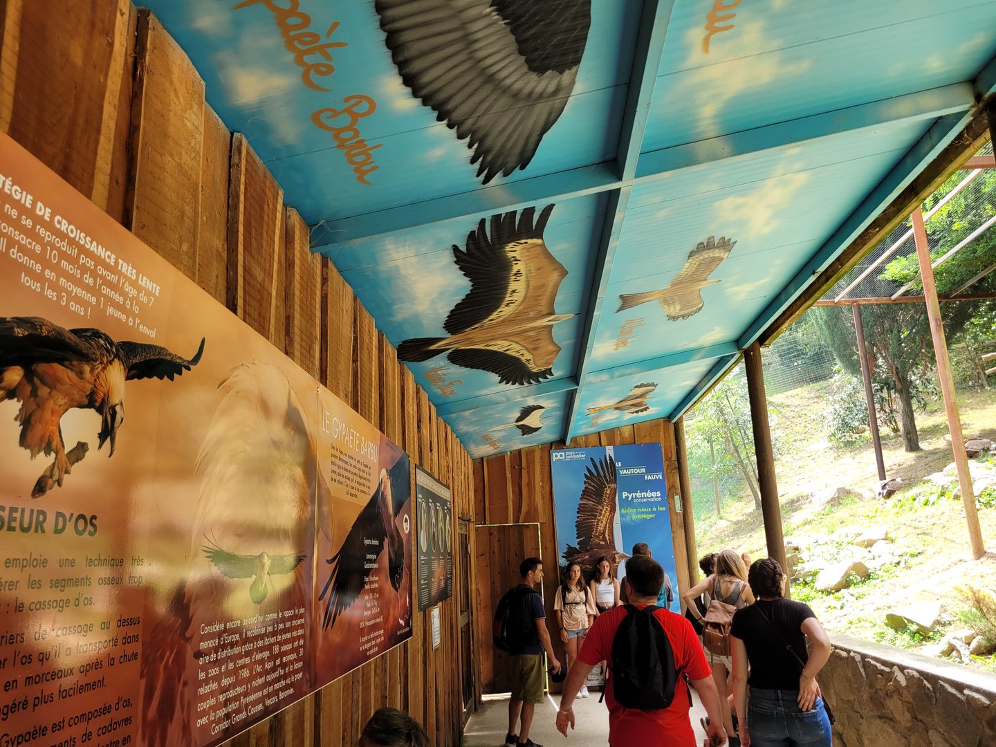 "Vallée des Vautours" displays -Parc Animalier des Pyrénées (2023)