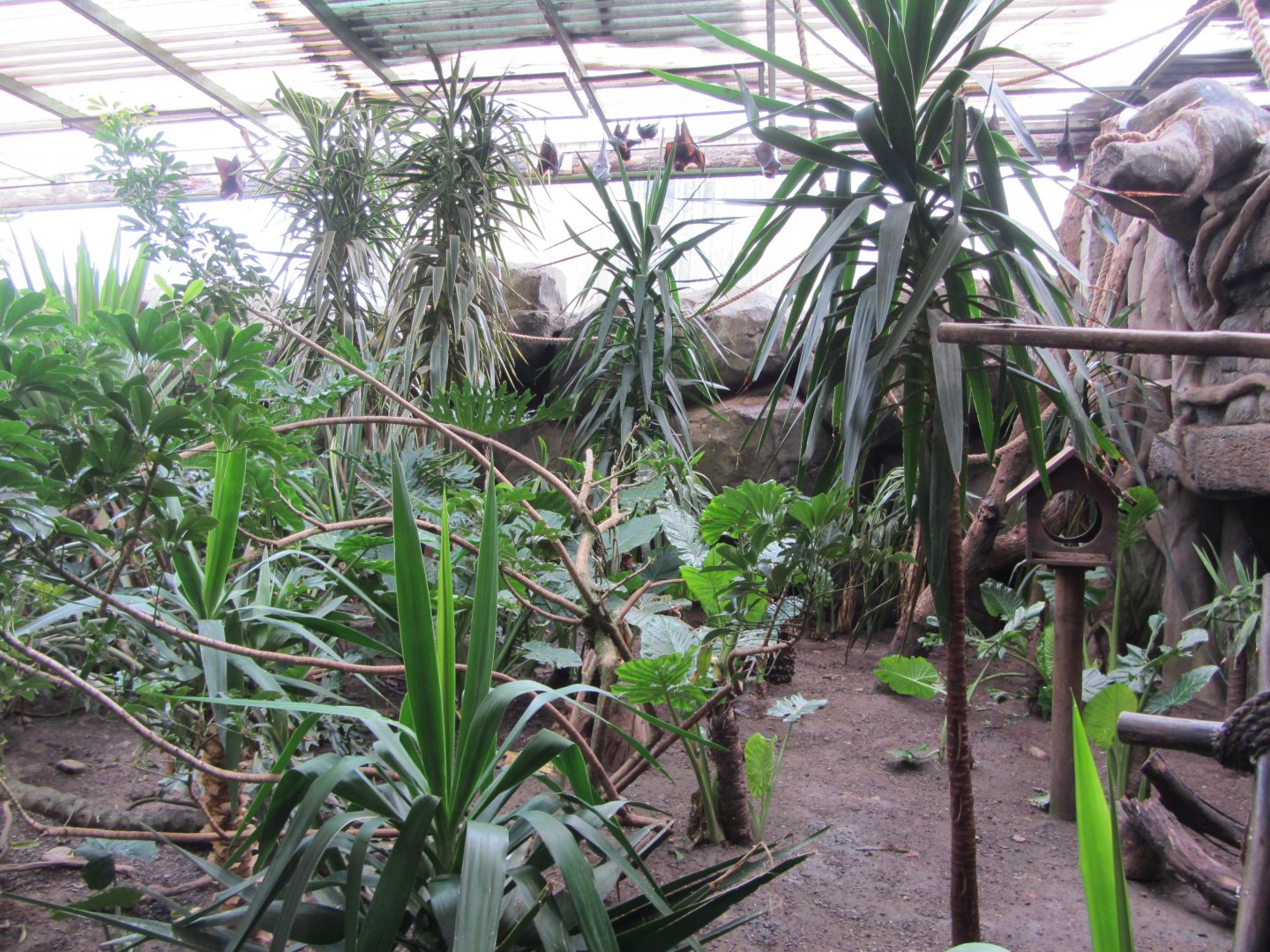 Valley of Ancients Aviary