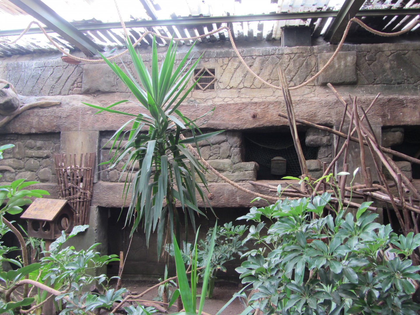 Valley of Ancients Aviary