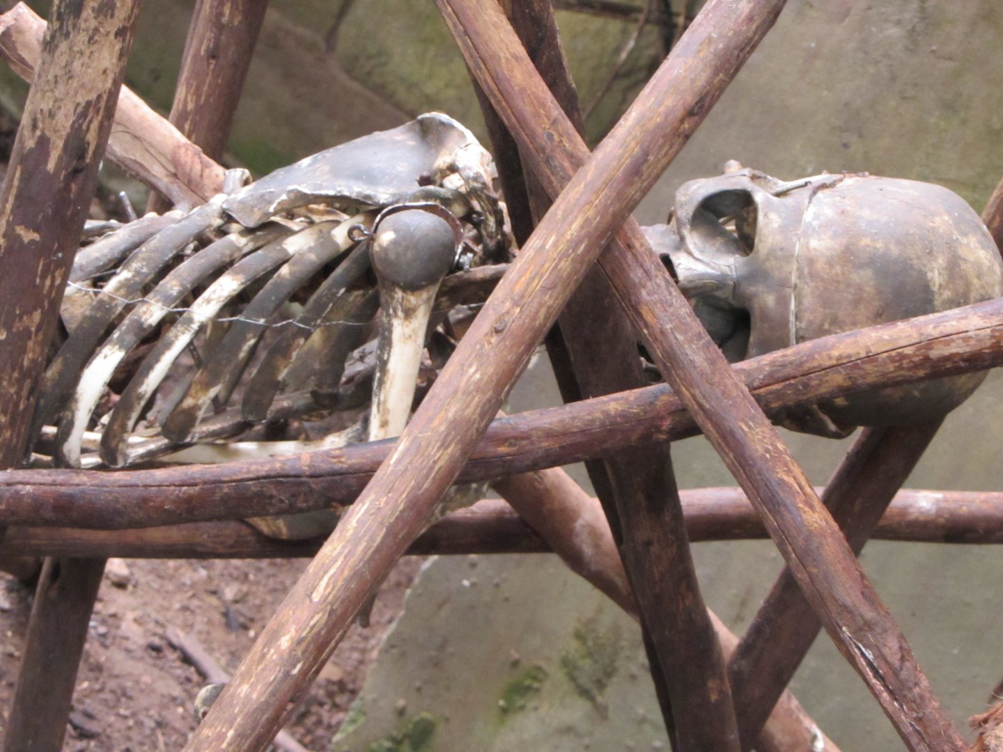 Valley of Ancients Theming