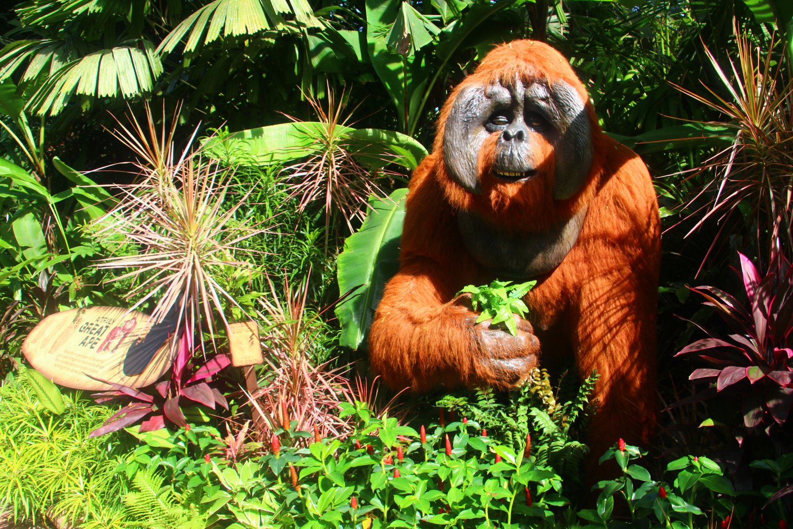 Valley of Giants - Gigantopithecus