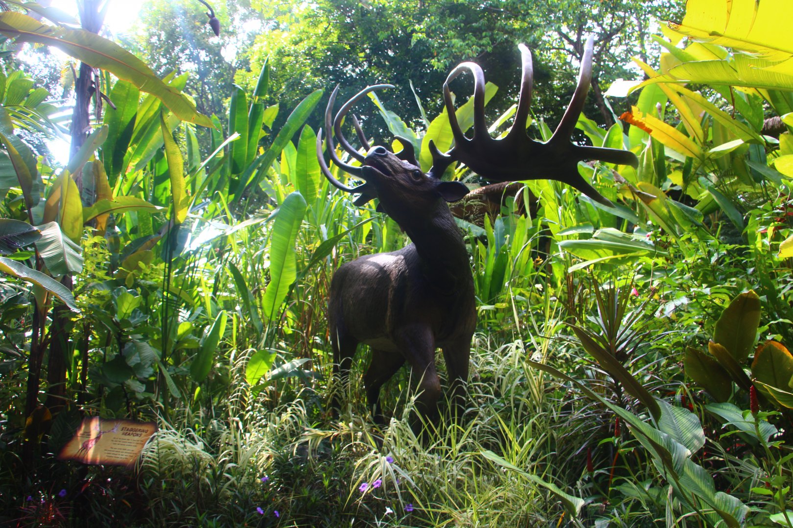 Valley of Giants - Megaloceros giganteus