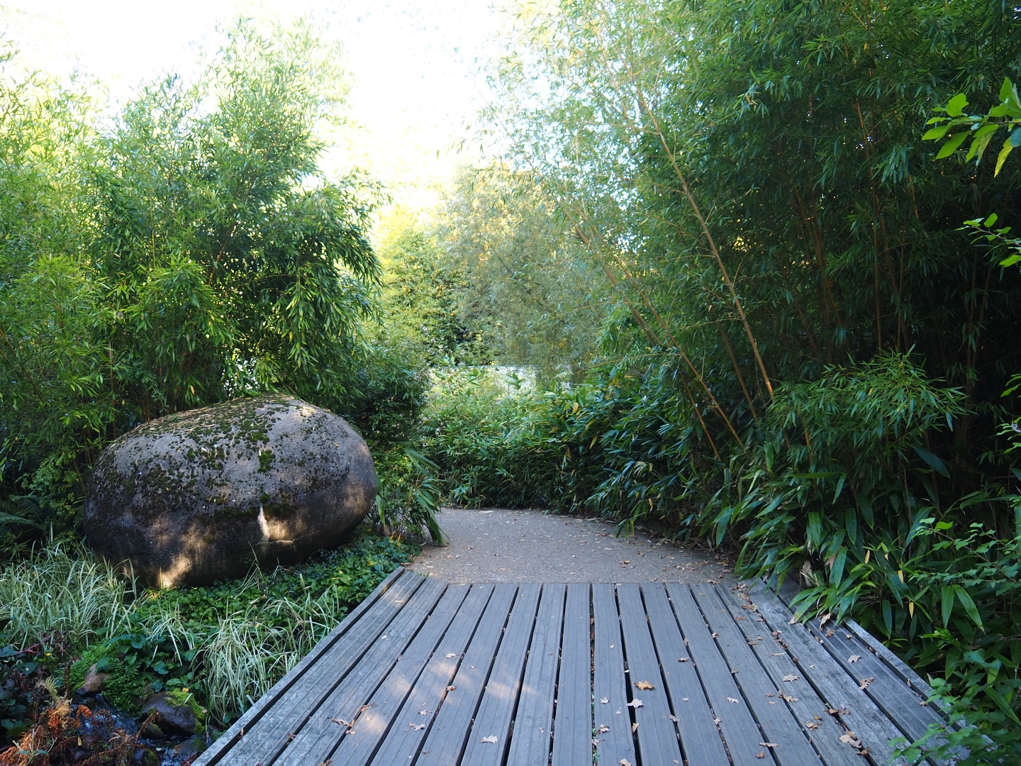 Valley park area (Oct 13th, 2018)