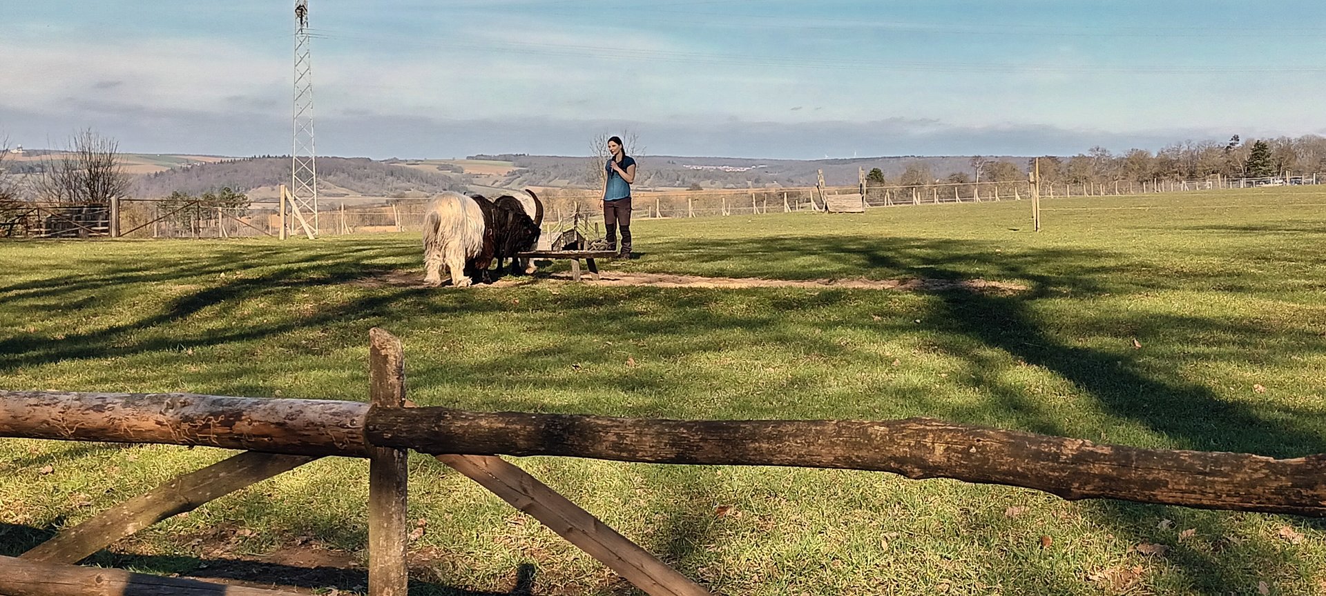 Valois Goat Keeper Talk