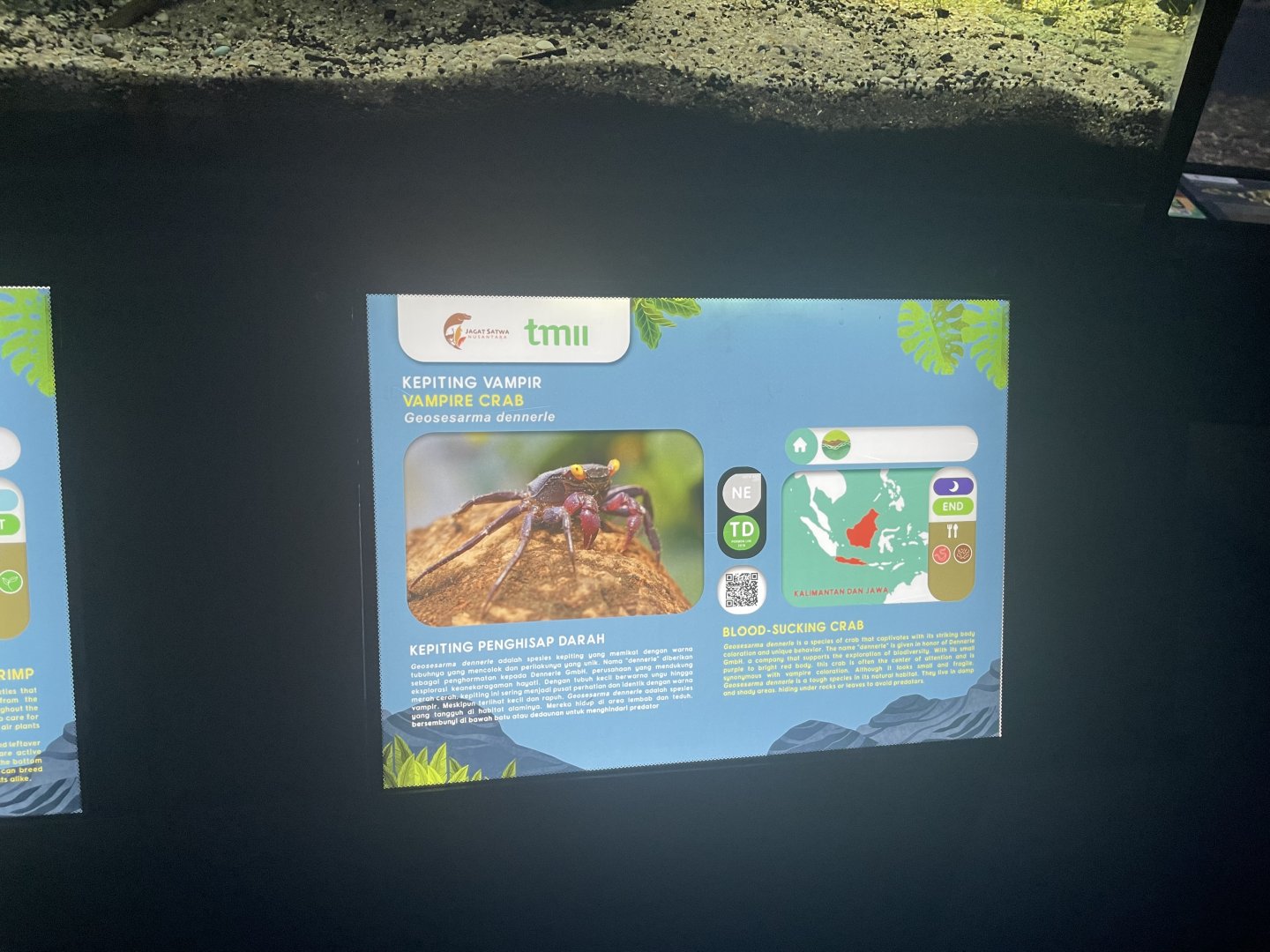 vampire crab signage - dunia air tawar