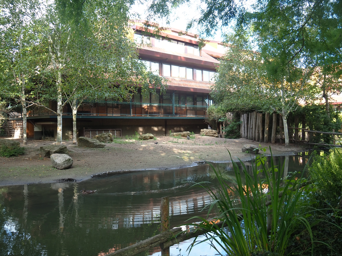 Van der Valk Avifauna hotel and part of the North African ostrich, East African crowned crane and Helmeted guineafowl paddock, 2022-08-28