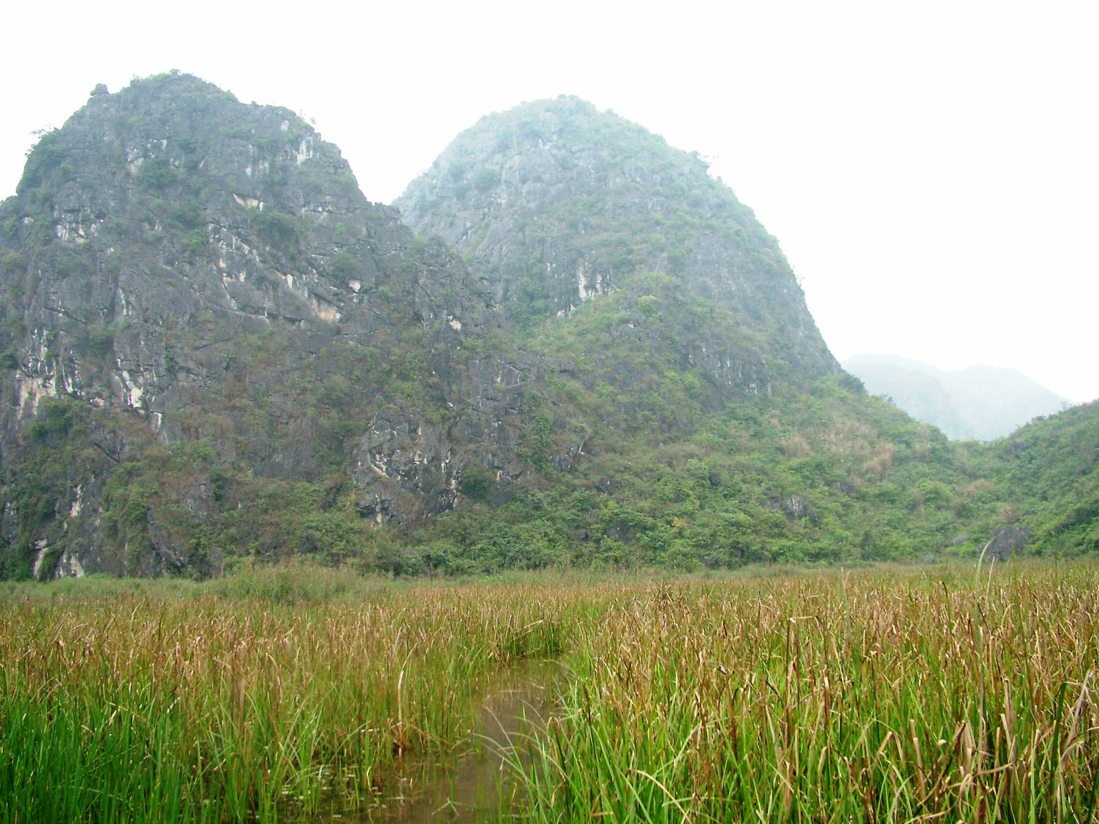Van Long Nature Reserve, 13/03/12