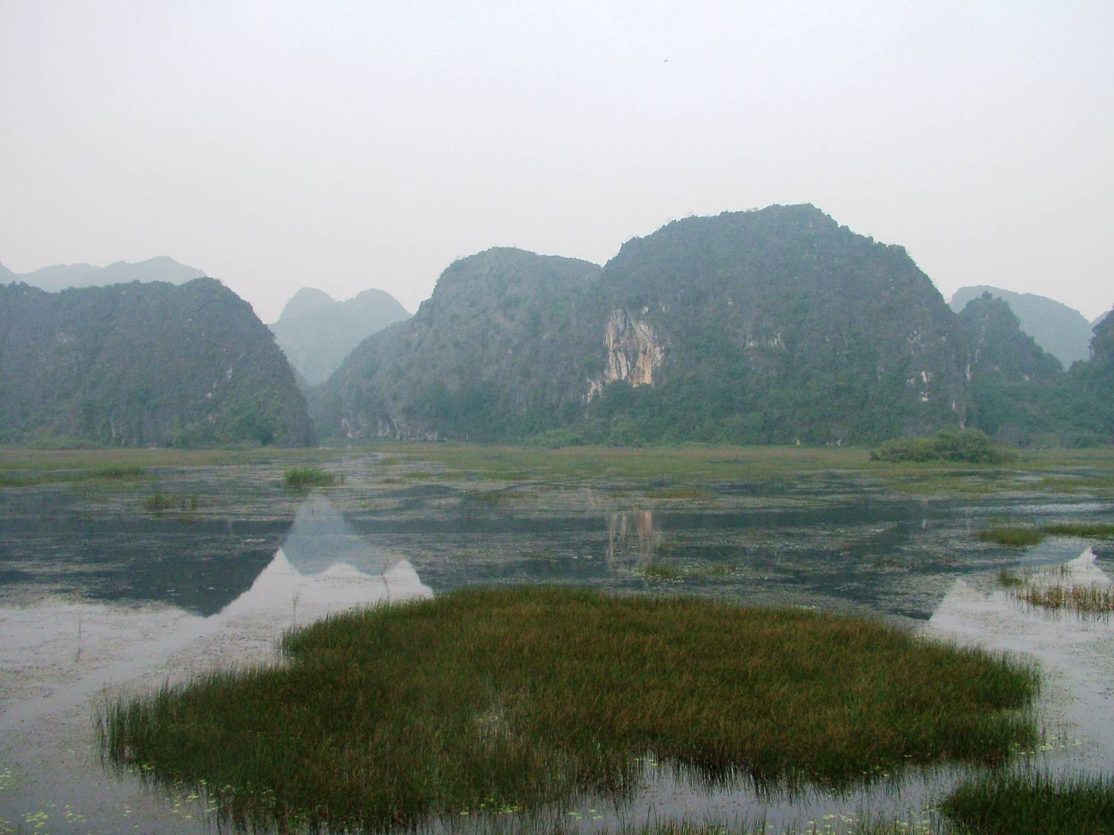 Van Long Nature Reserve, 13/03/12