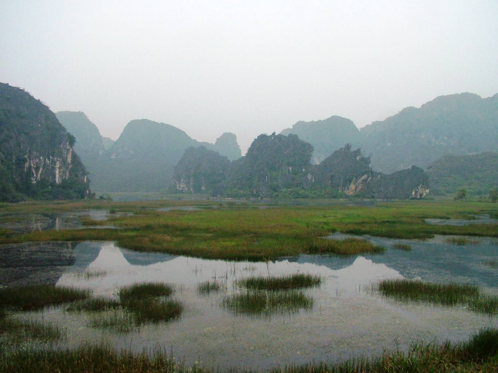 Van Long Nature Reserve, 13/03/12