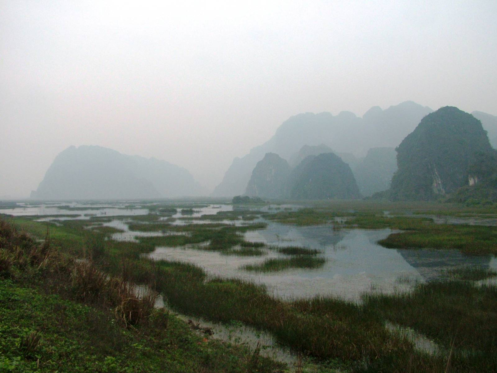 Van Long Nature Reserve, 13/03/12