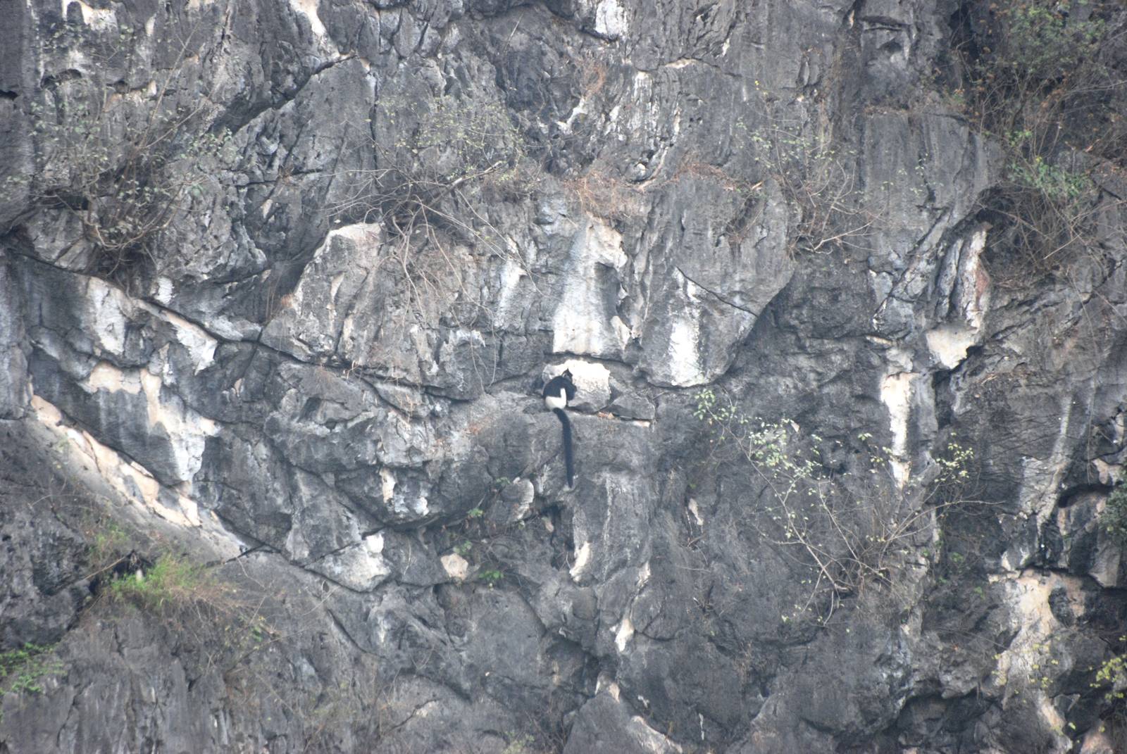 Van Long Nature Reserve, 13/03/12