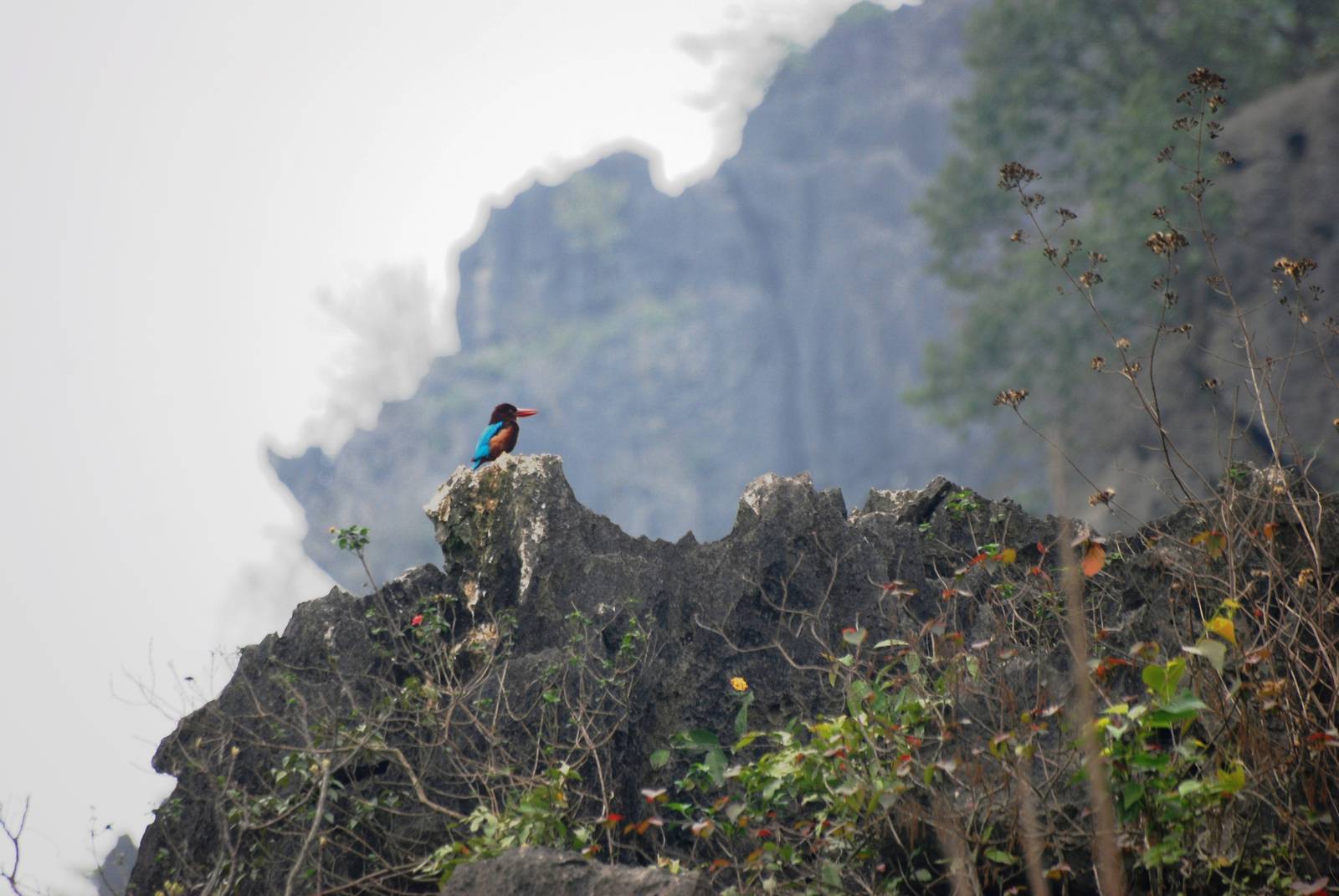 Van Long Nature Reserve, 13/03/12