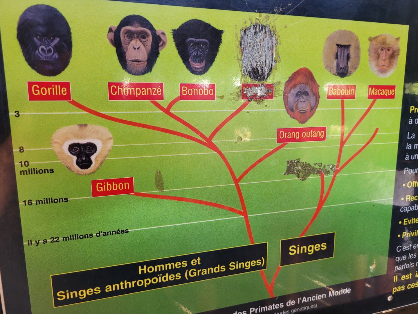 Vandalised sign -Réserve Africaine de Sigean (2022)