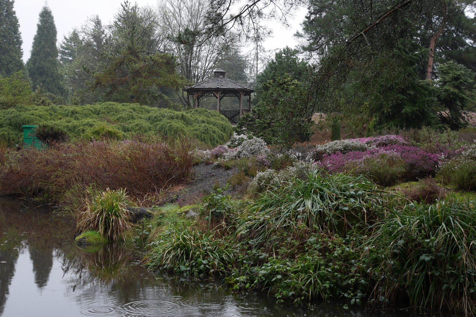 VanDusen Gardens - My First US Zoo Trip