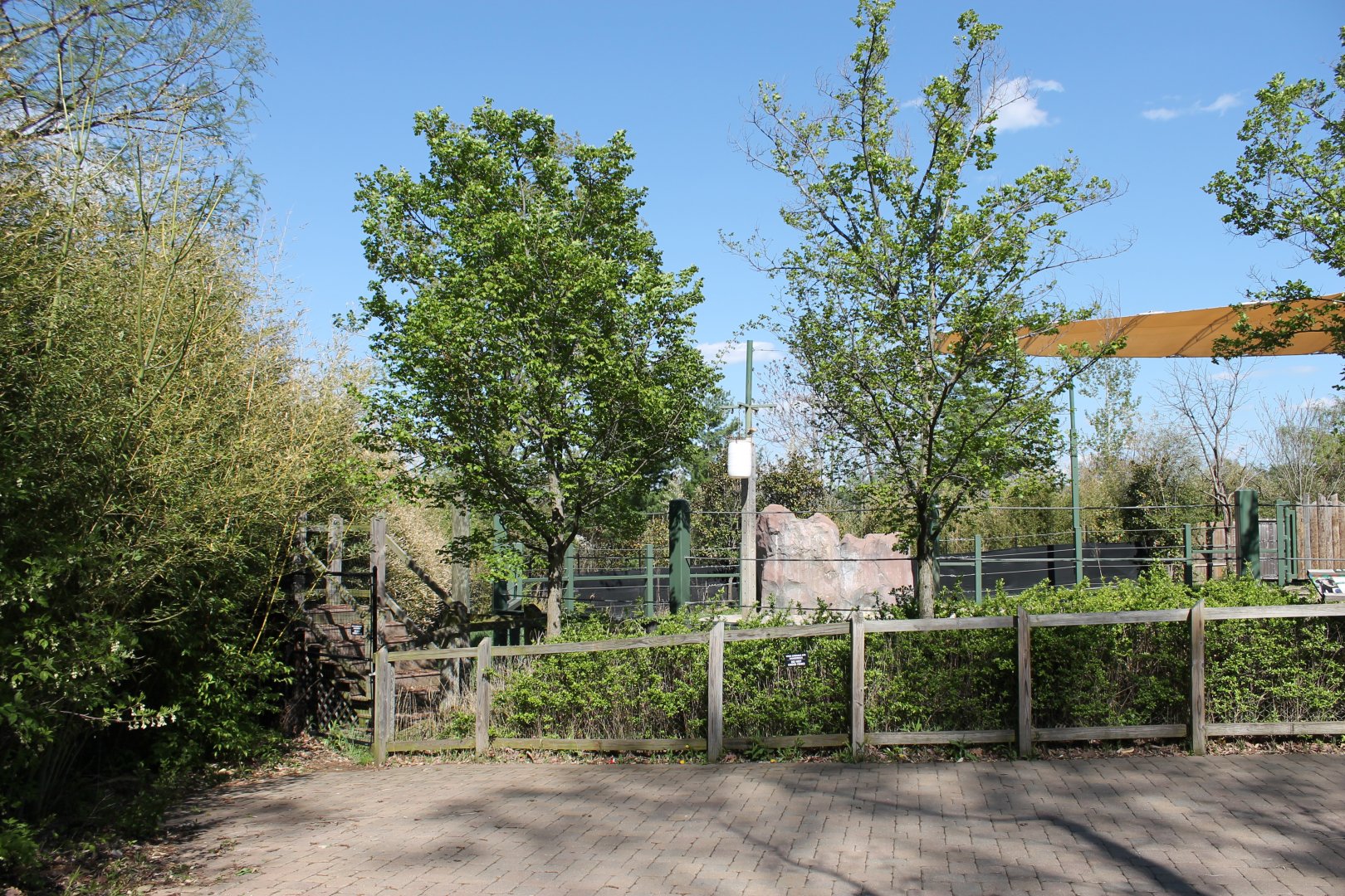 Vanishing Giants/Elephant Reserve- Bull Asian Elephant Exhibit