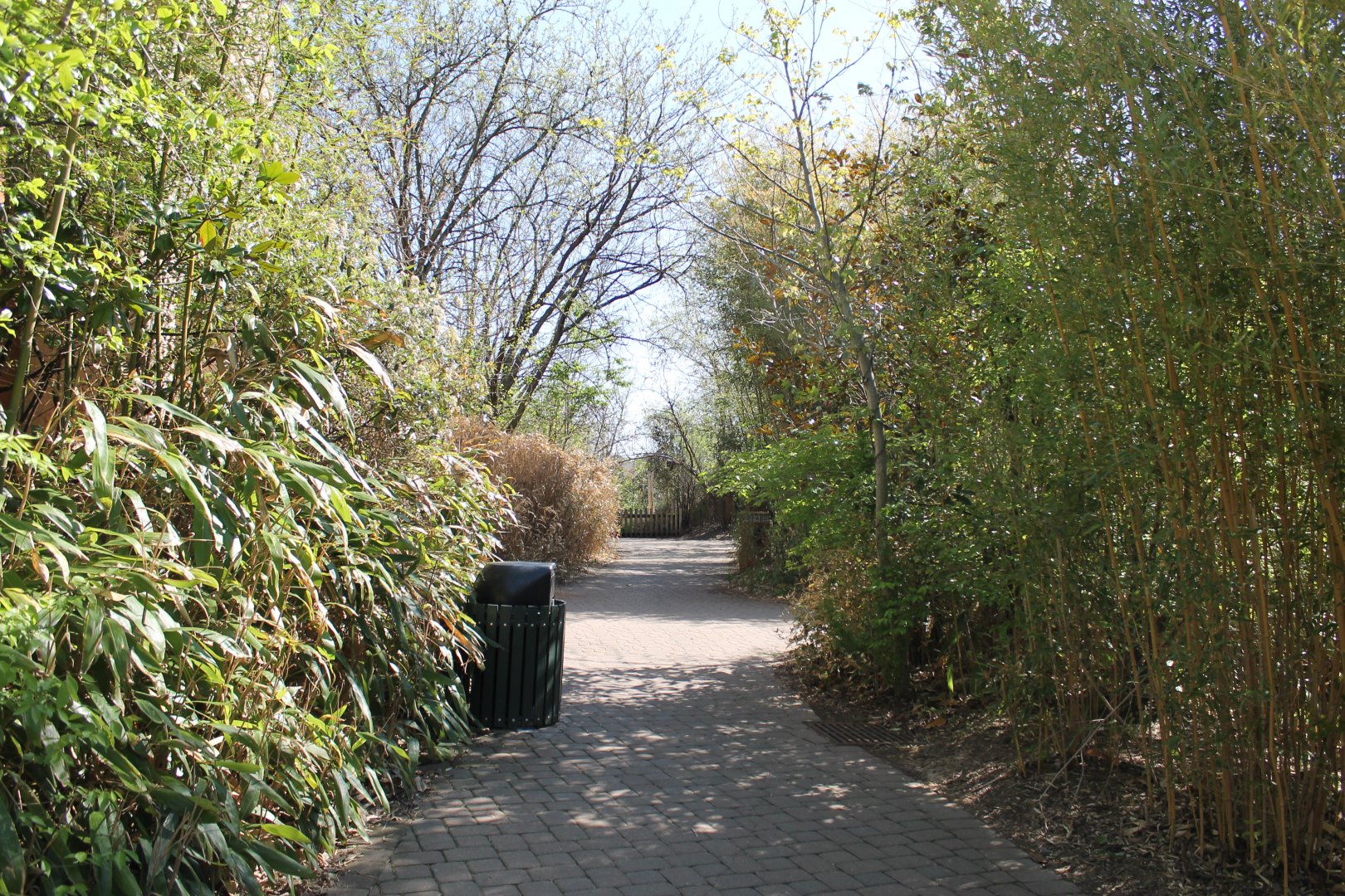 Vanishing Giants/Elephant Reserve Pathway