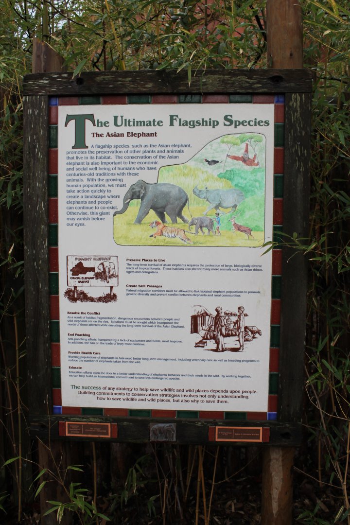Vanishing Giants/Elephant Reserve Signage