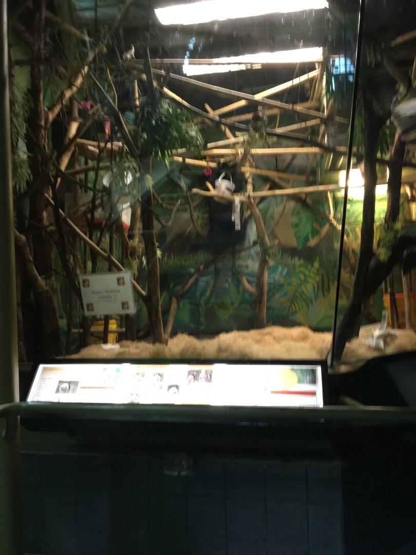 Vanishing Kindom - Emperor Tamarin Exhibit