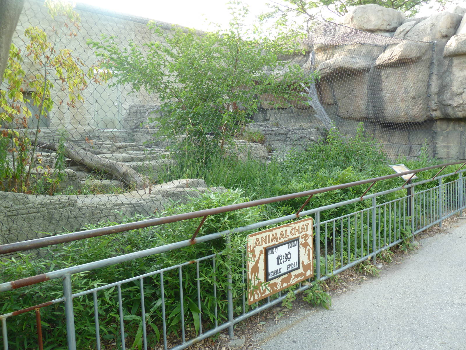 Vanishing Kingdom - Canada Lynx Exhibit