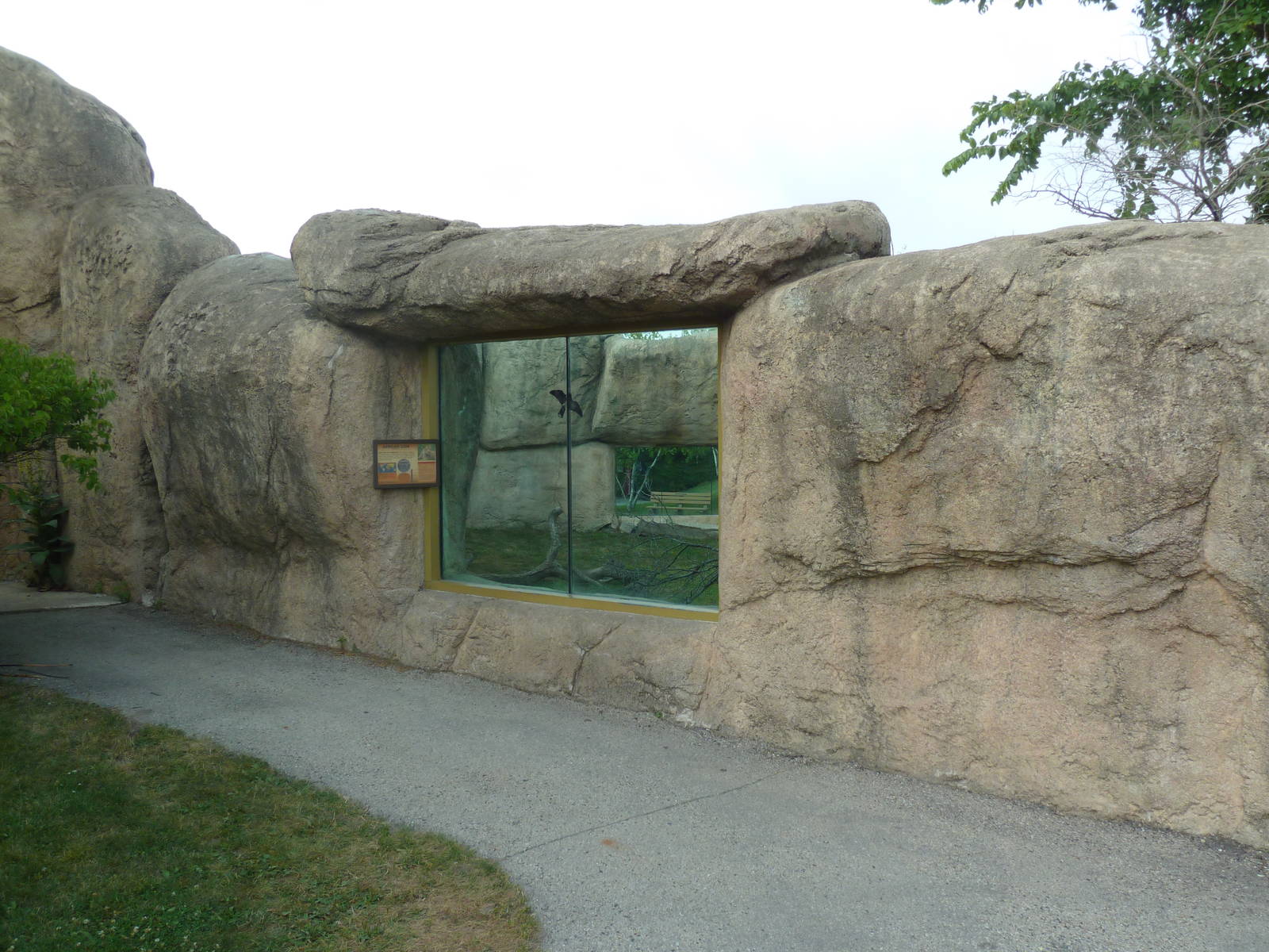 Vanishing Kingdom - Lion Exhibit