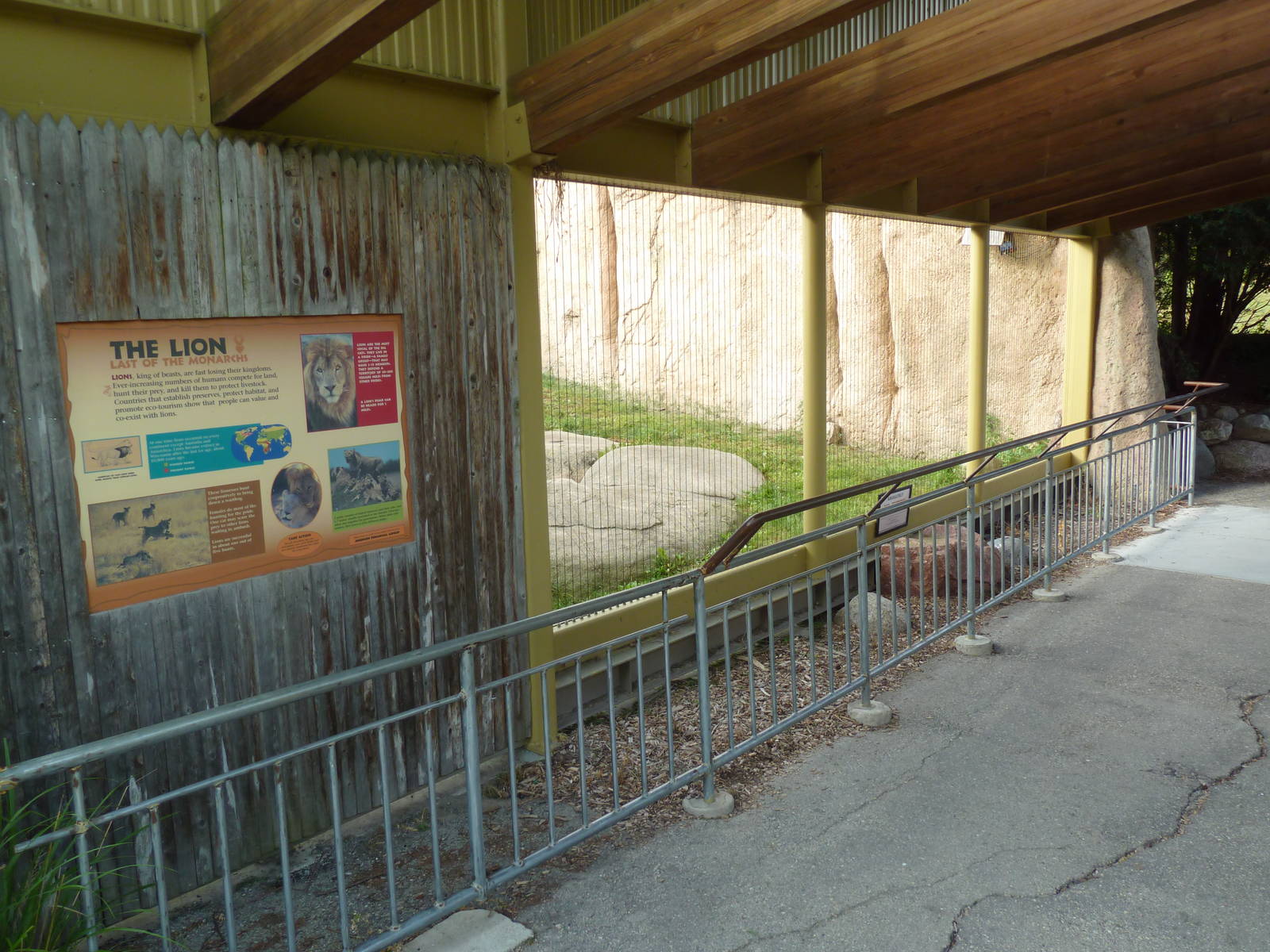 Vanishing Kingdom - Lion Exhibit