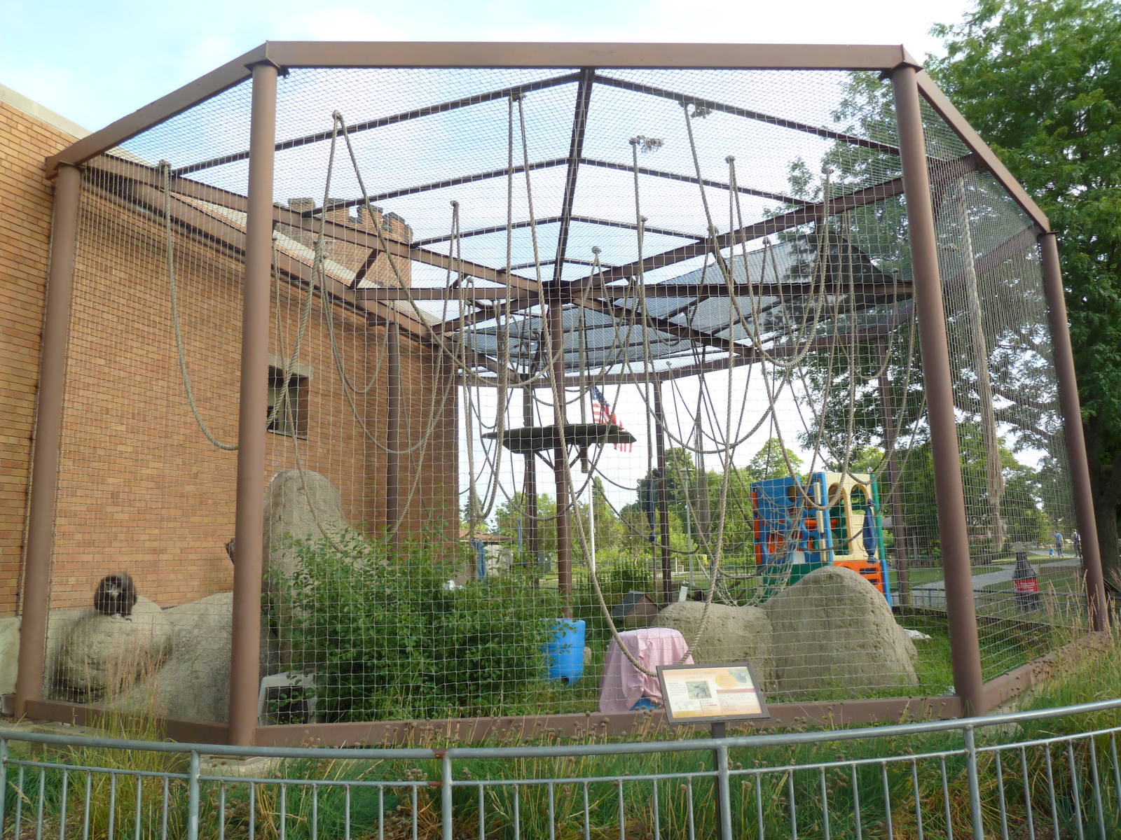 Vanishing Kingdom - White-Handed Gibbon Exhibit