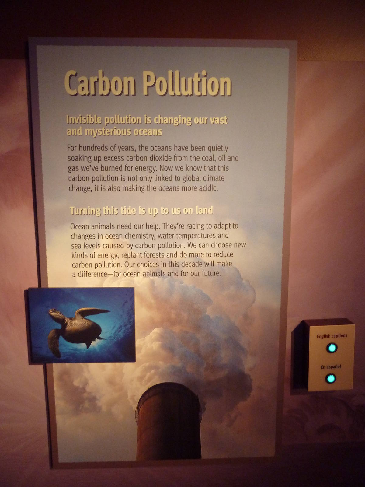 Vanishing Wildlife - Carbon Pollution Poster