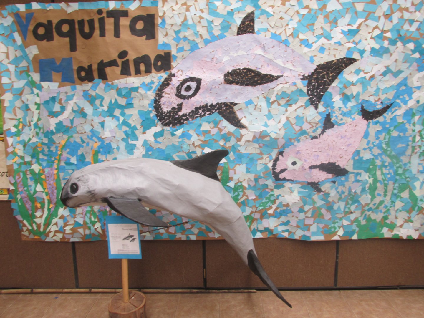 vaquita folk art models