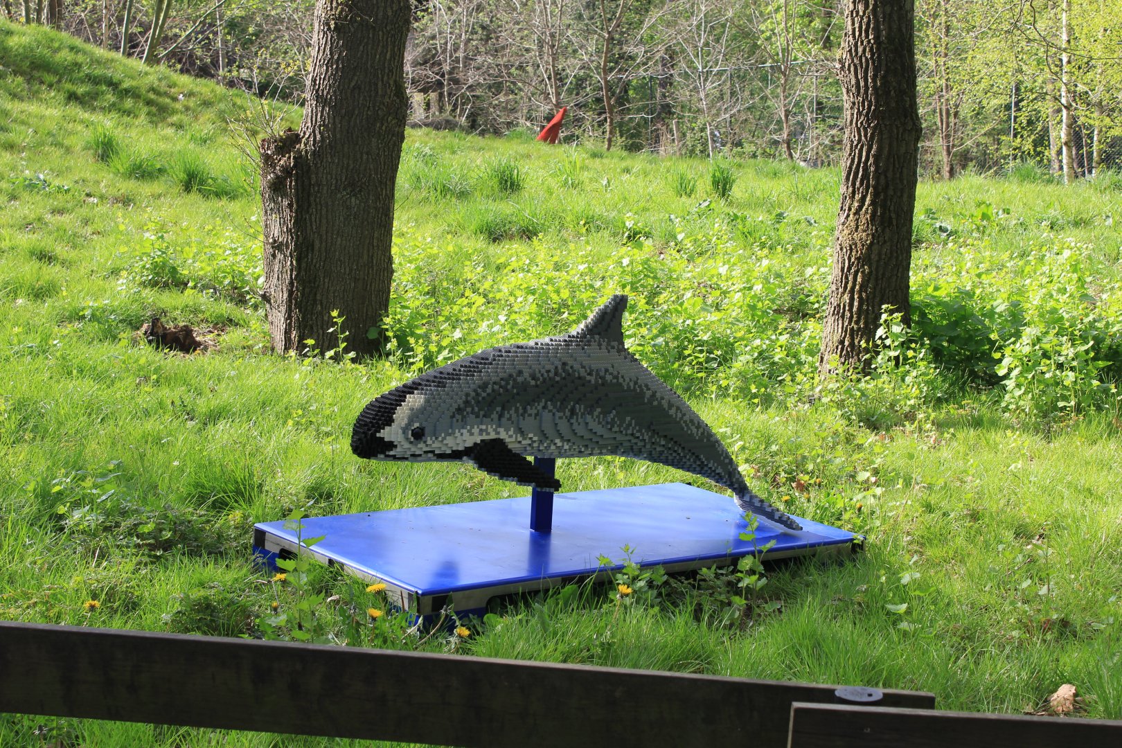 Vaquita - Lego Ocean Bricks Event