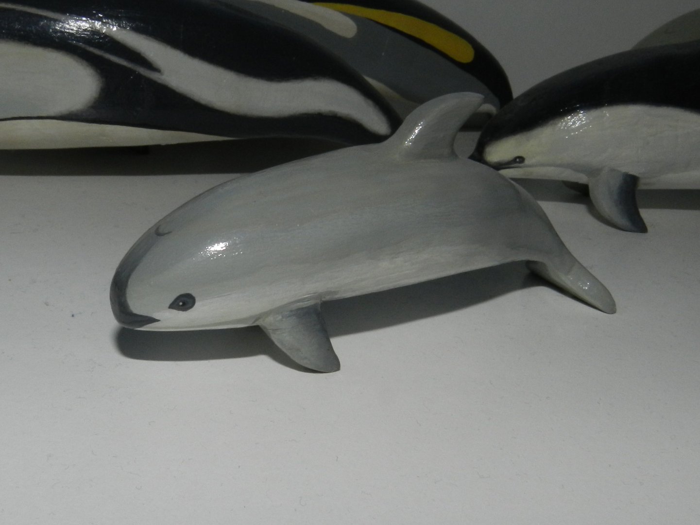 Vaquita on wood